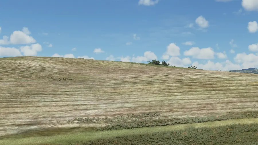 Windows XP