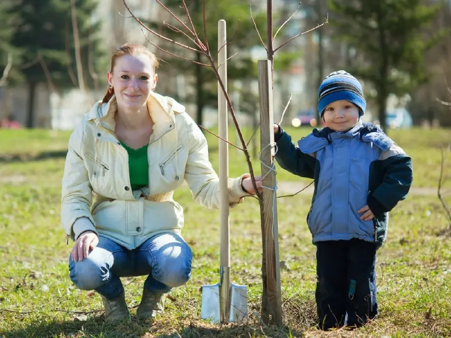 Photo of tree planting with children and children on Arbor Day
