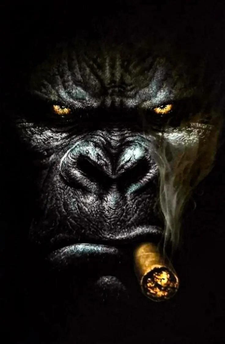 Cool wallpaper for boys silverback gorilla