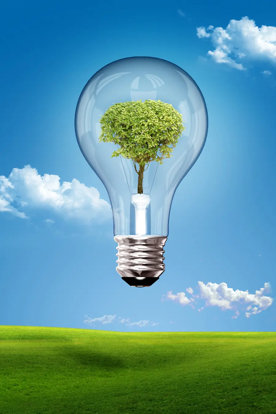 High quality photo of a lamp with a background and wallpaper