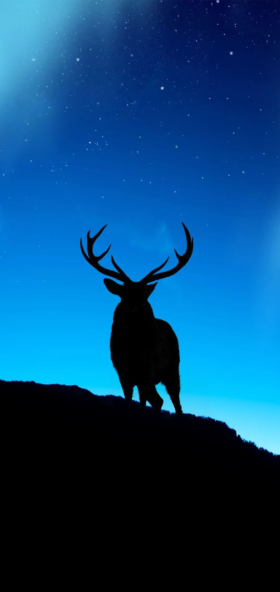 Deer Wallpaper Download Blue Background