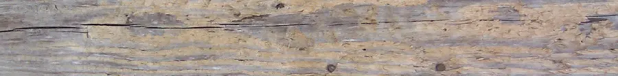 Texture and texture of light-colored wood lumber