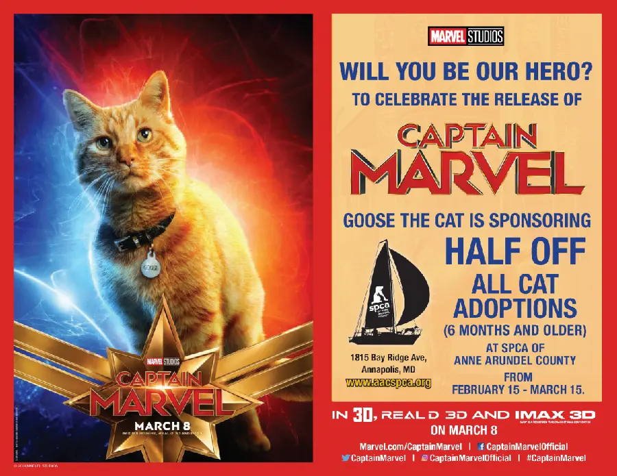 Captain Marvel Goose
