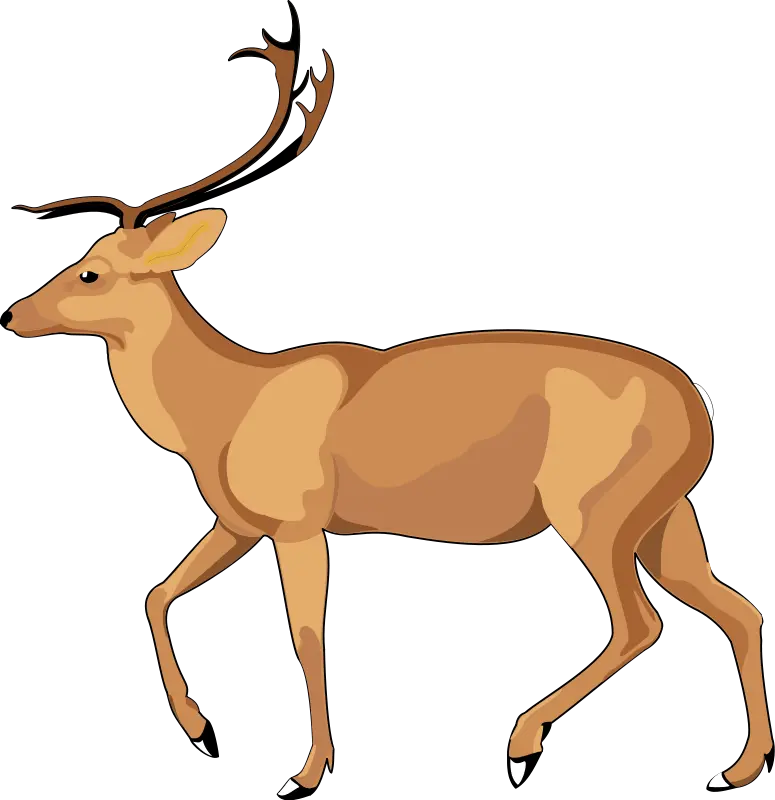 PNG drawing of an antler deer