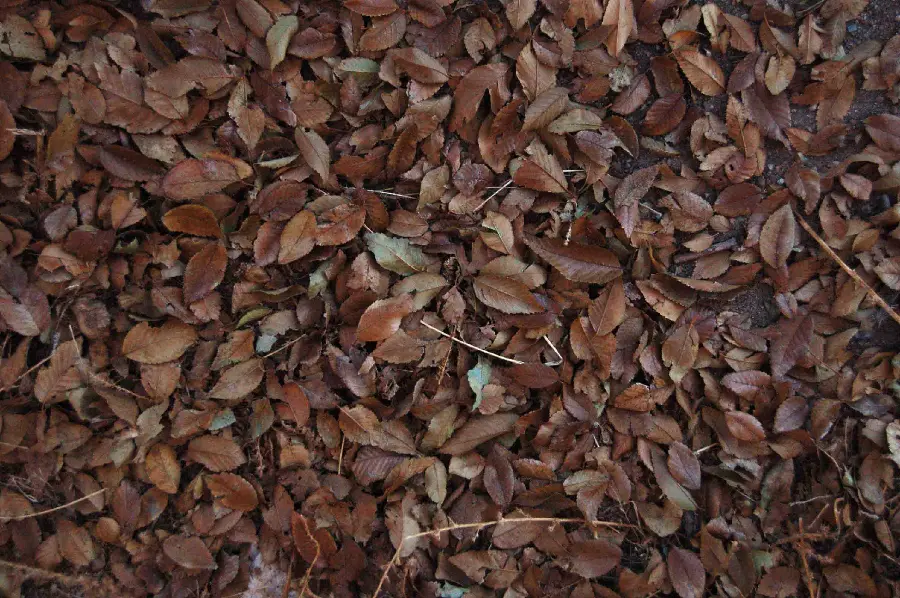 Land Materials and Natural Features