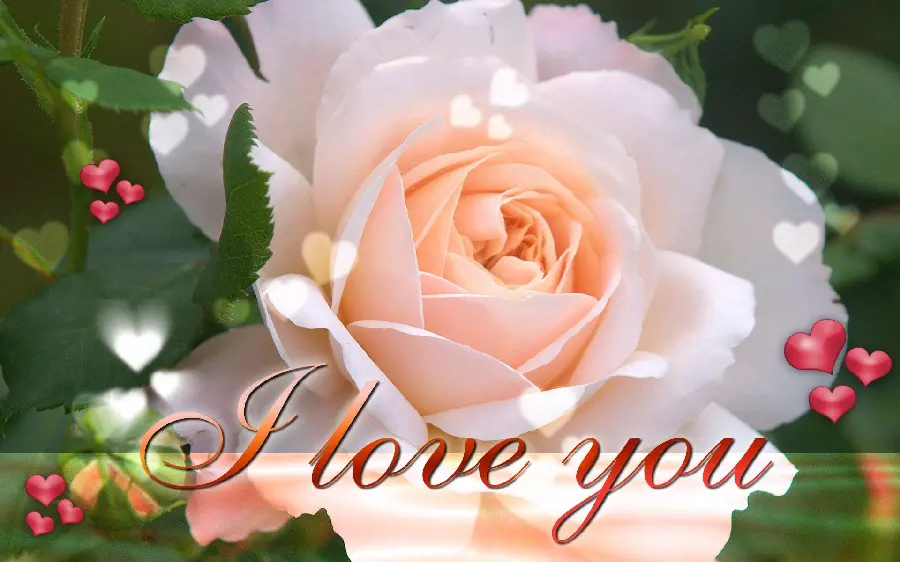 Couple love wallpaper