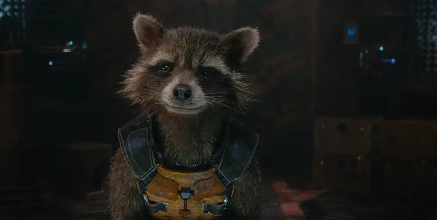 Rocket Raccoon Picture in the Movie Defenders of the Galaxy