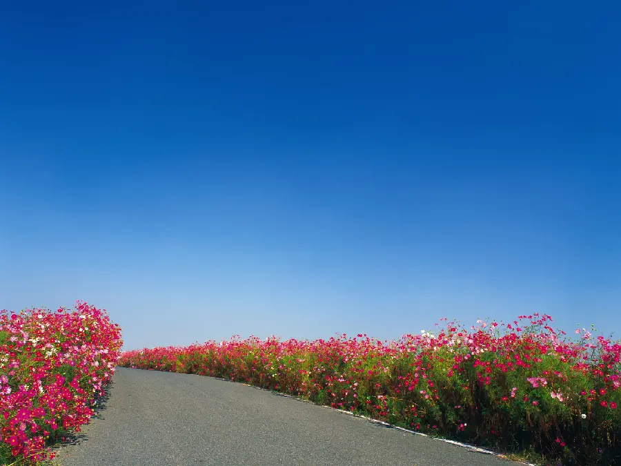 Road Background