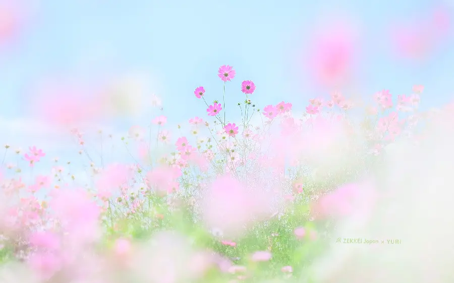 Spring pastel