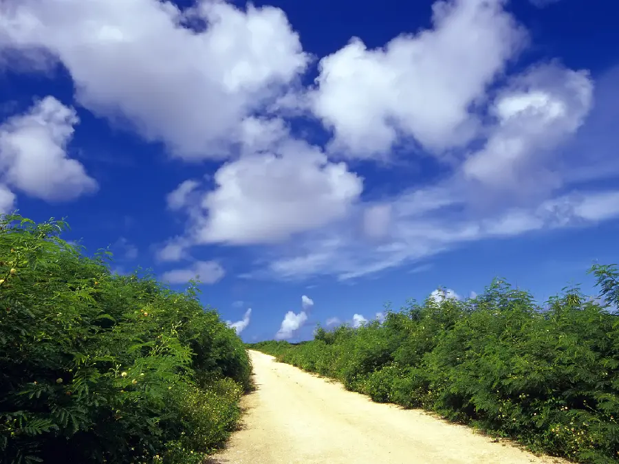 Beautiful and beautiful road