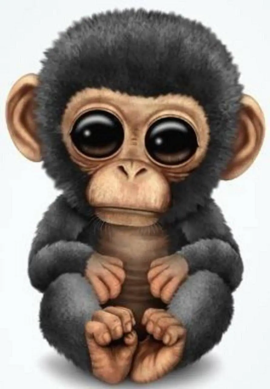 Cartoon pet baby monkey photo