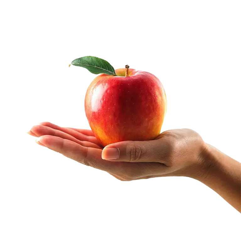 Photo of red apple with leaf in palm of hand quality image for download