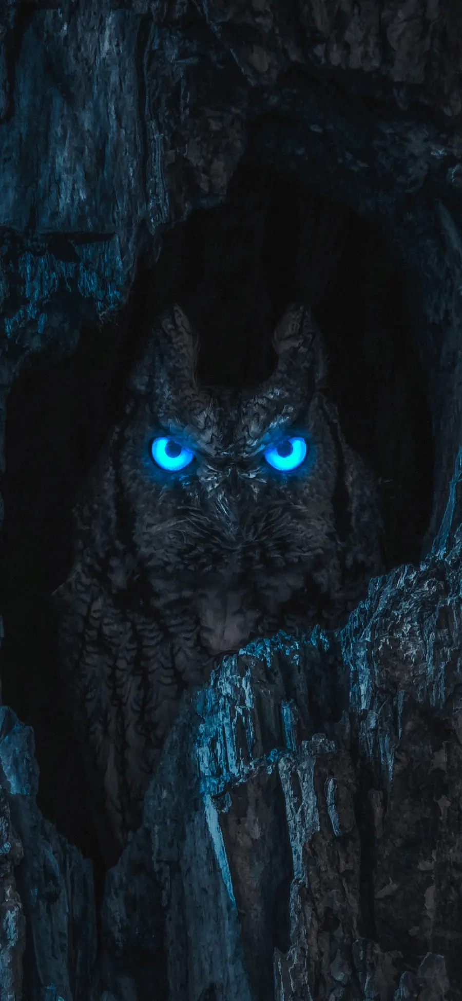 Owl wallpaper for phone