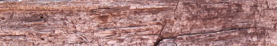 High Quality Colored Wood Lumber