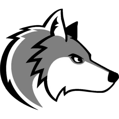 Unique wallpaper of simple wolf head png