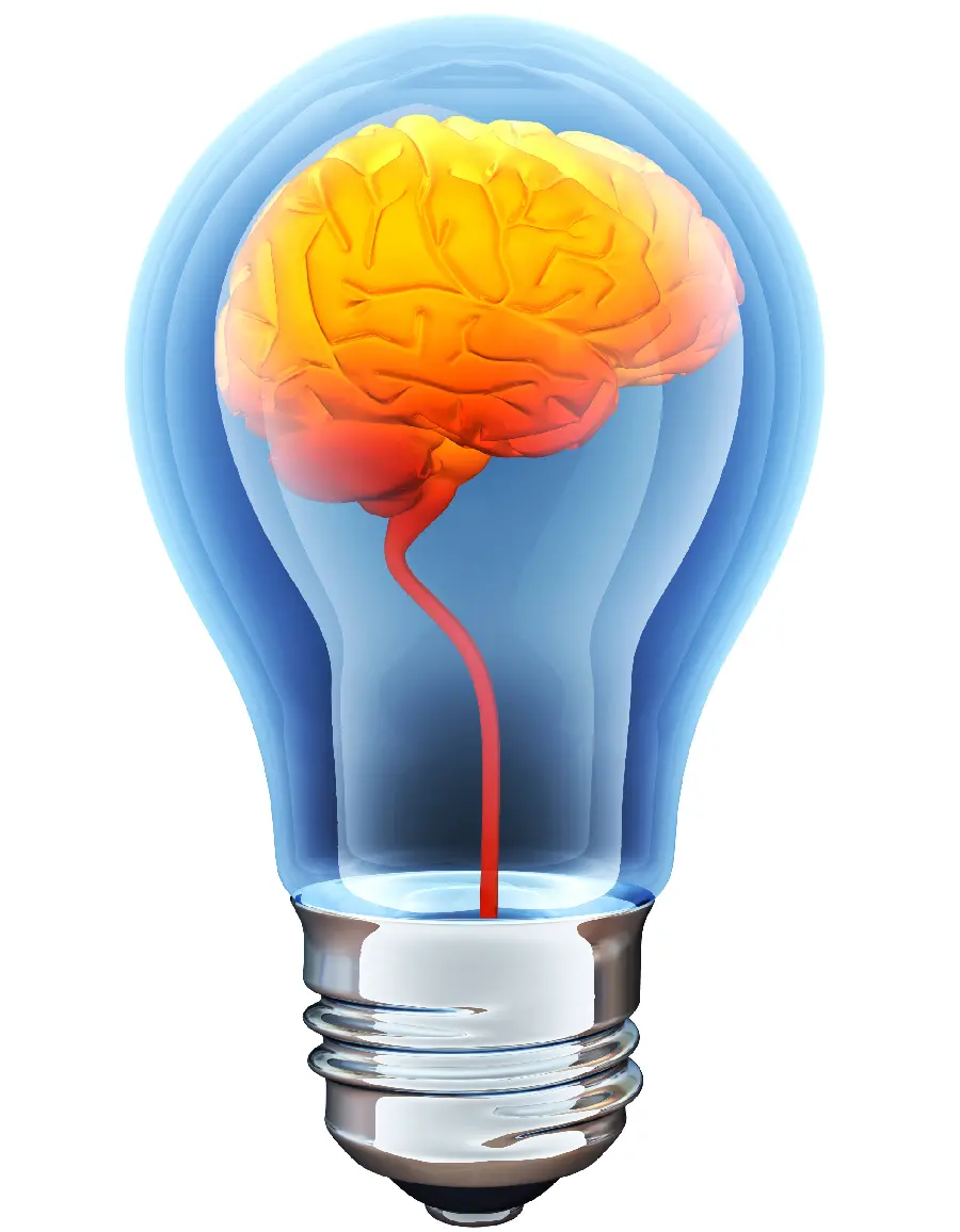Photo of fancy light bulb