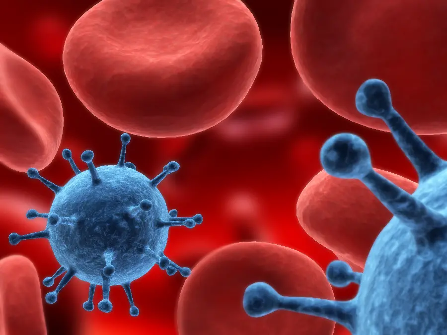 Red blood cell photo for medical research