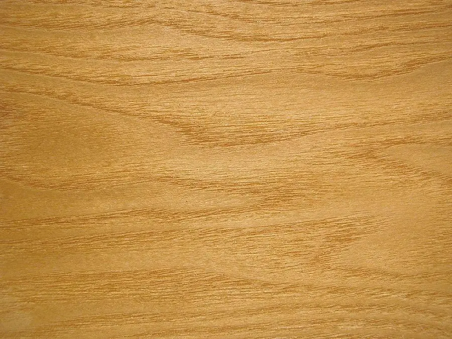 Wooden textures and textures for free download
