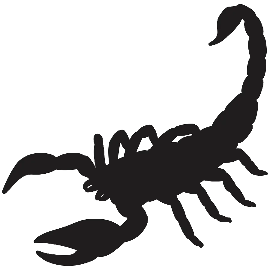 Simple Black Scorpion PNG Tattoo