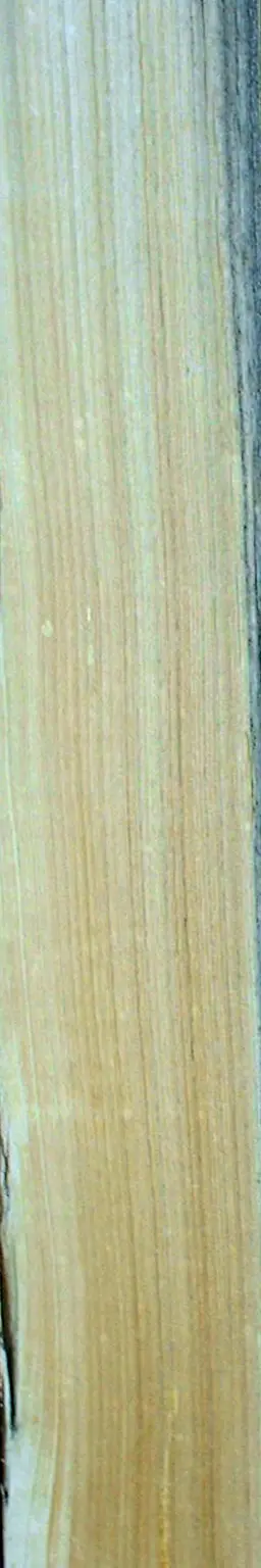 Wooden plank