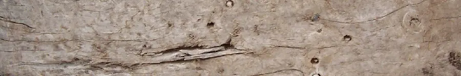 Free Download Wood Lumber Image