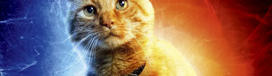 Captain Marvel Goose
