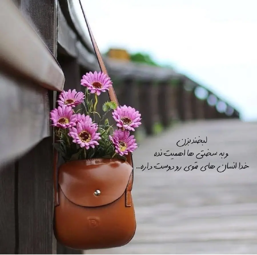 Special profile picture with beautiful text