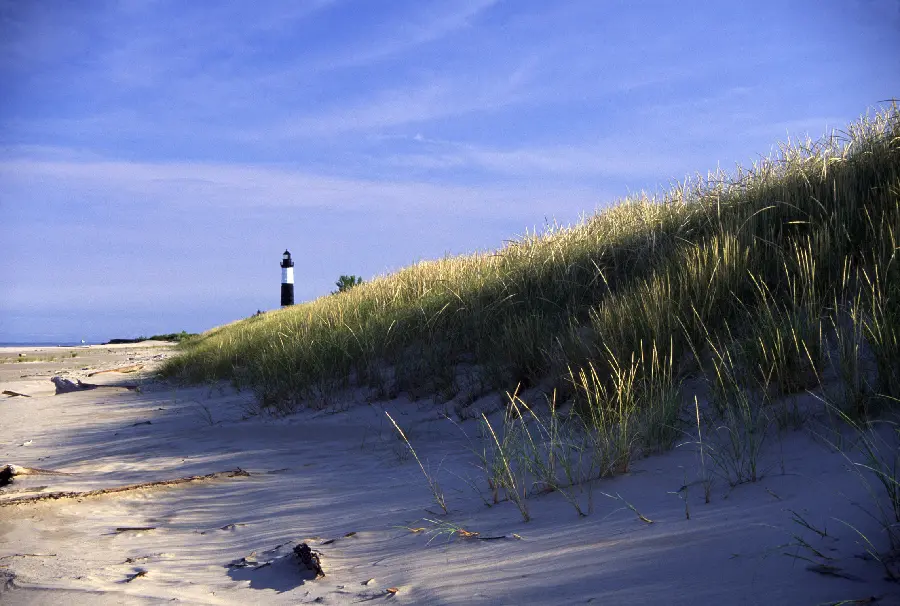 Nature of the seashore full of peace