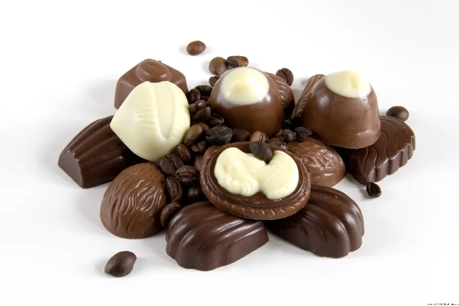 High Quality Cocoa Photo