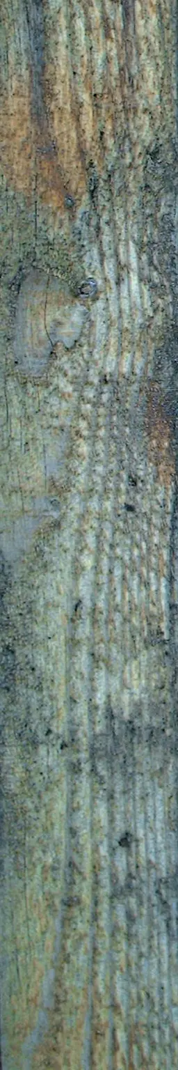 Wooden plank