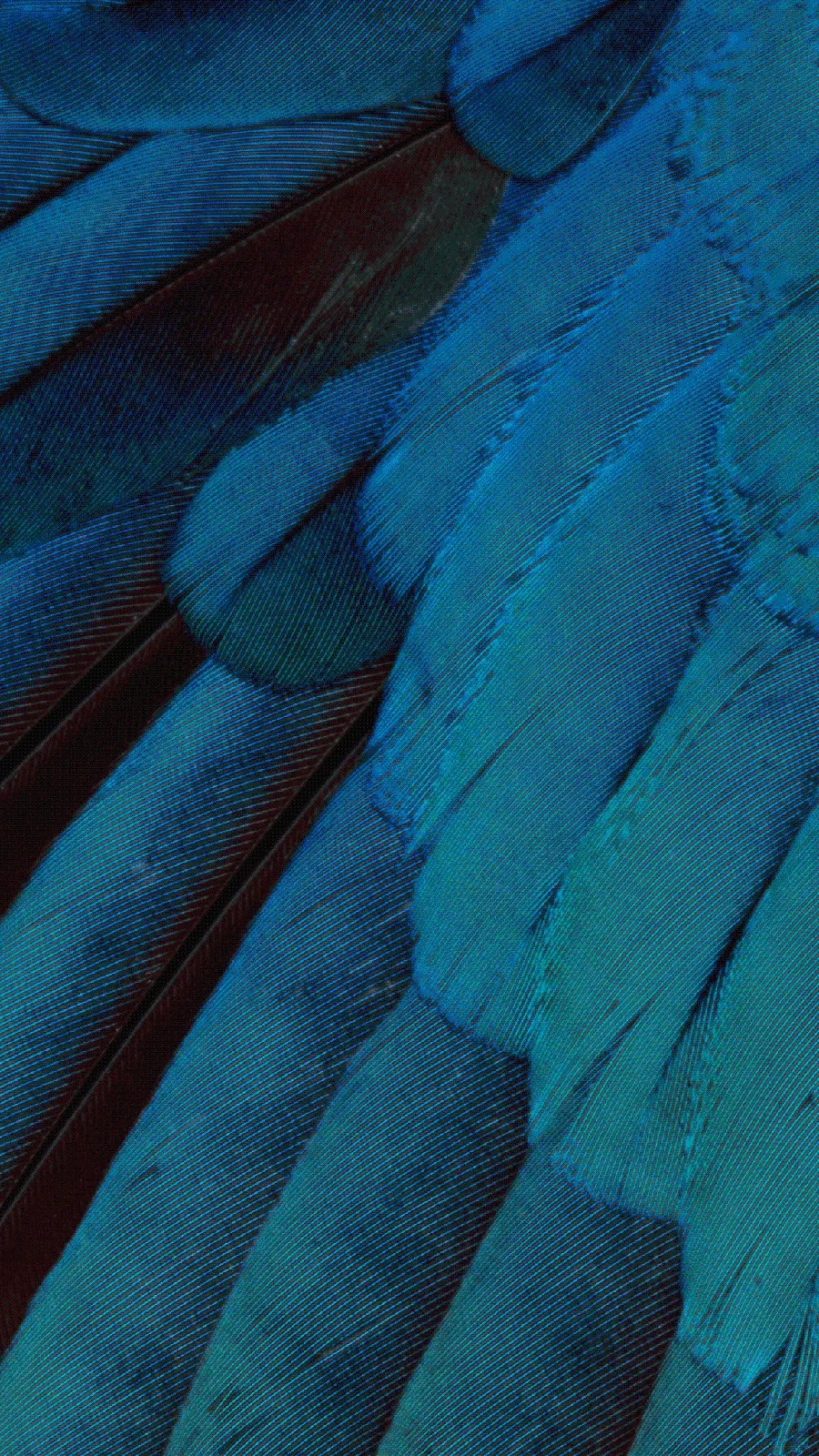 Cool and beautiful iPhone wallpaper