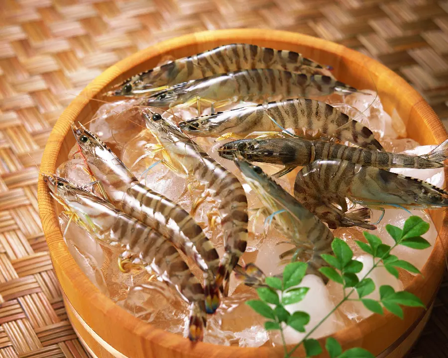 Seafood photo