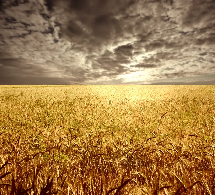 Spectacular photos of nature