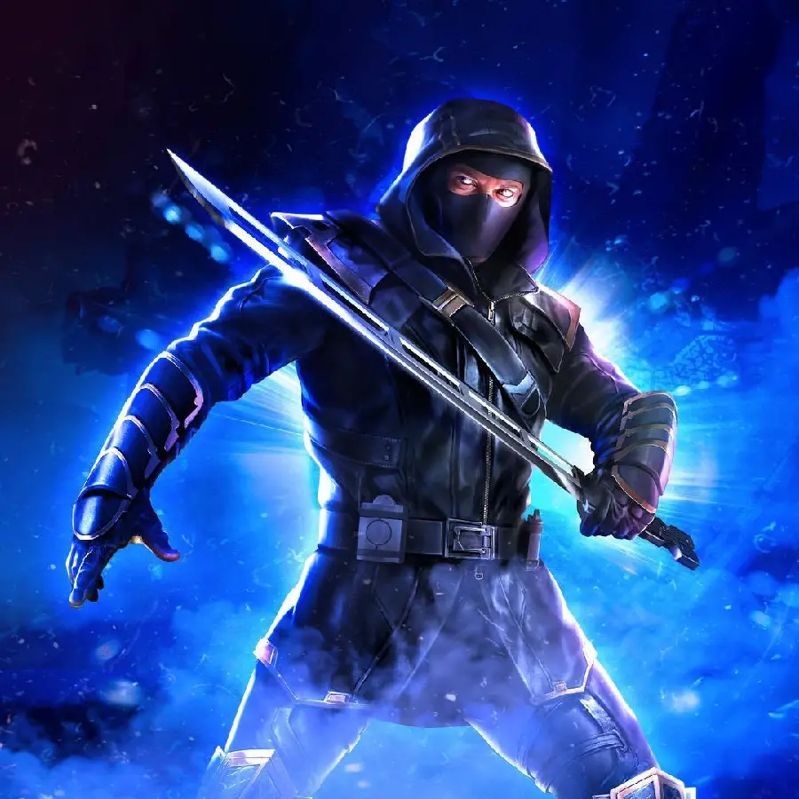 Ronin Image