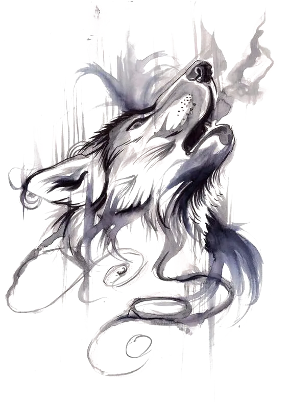 Special quality background and PNG from Black and White Wolf Painting