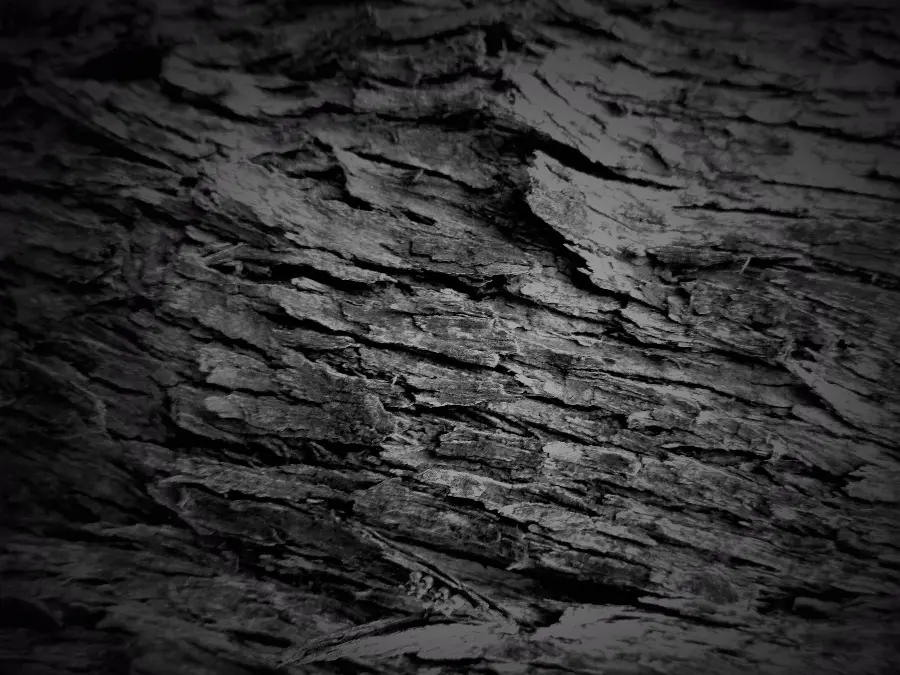 Stylish Black Wallpaper