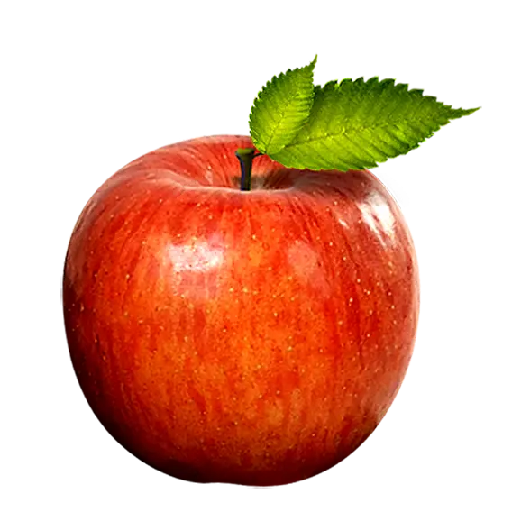 Photo of real red apple with two green leaves without background