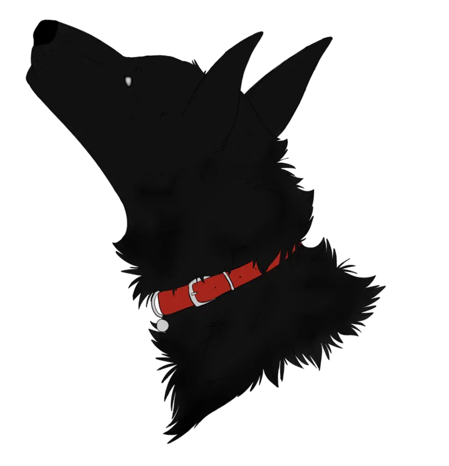 Cool profile picture with black wolf drawing png file