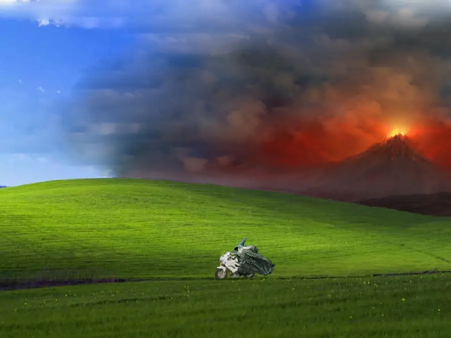 Windows XP