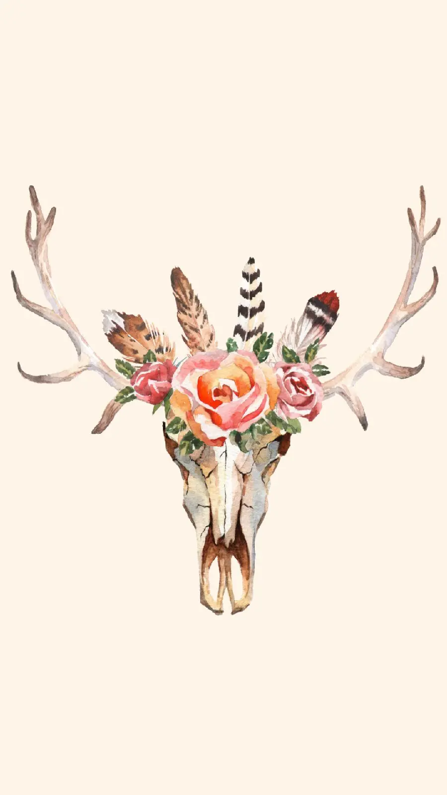 Skeleton and Skull Background