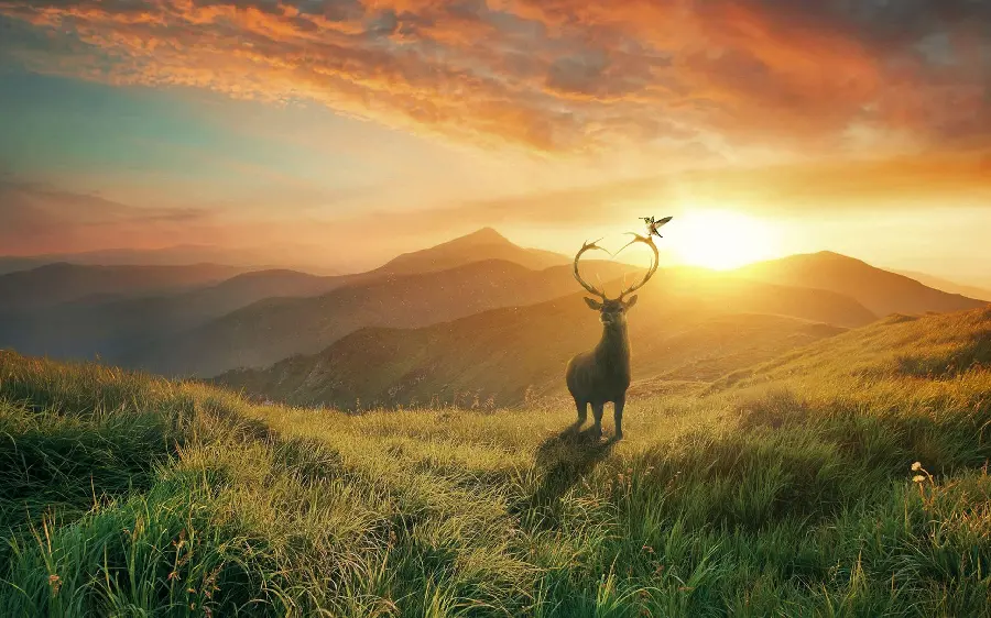 Romantic profile photo of deer with heart-shaped antlers and sunset in lush mountains