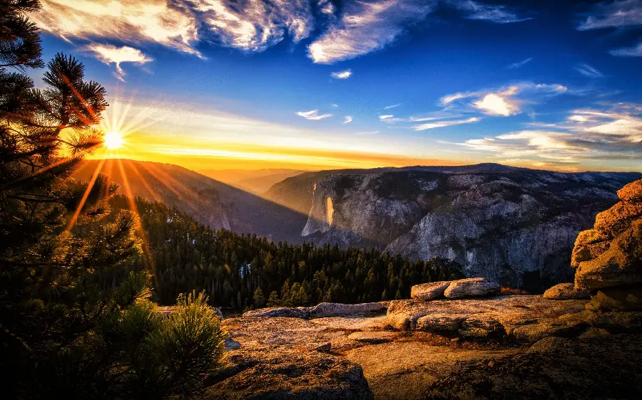 Australian Forest and Sunset Landscape Photo