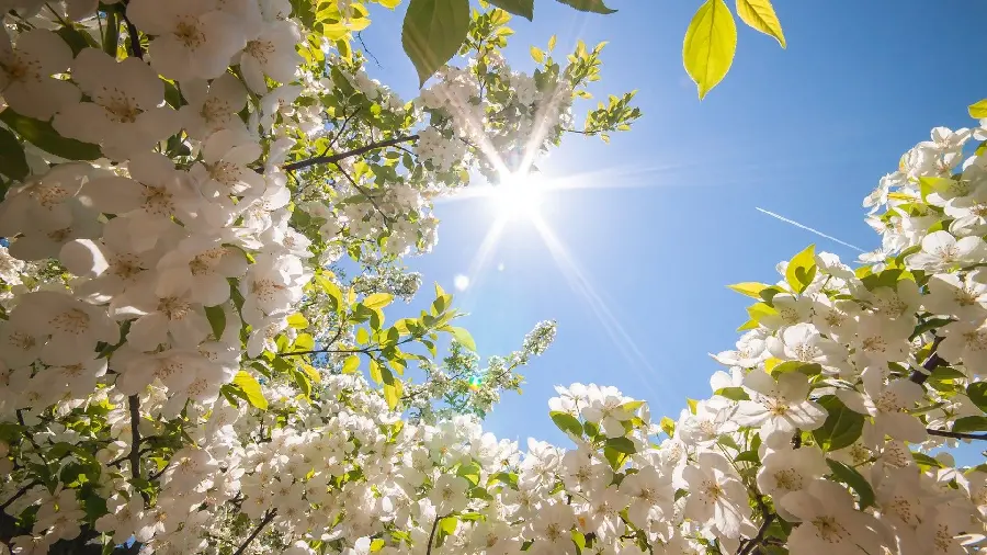 Spring Pastel