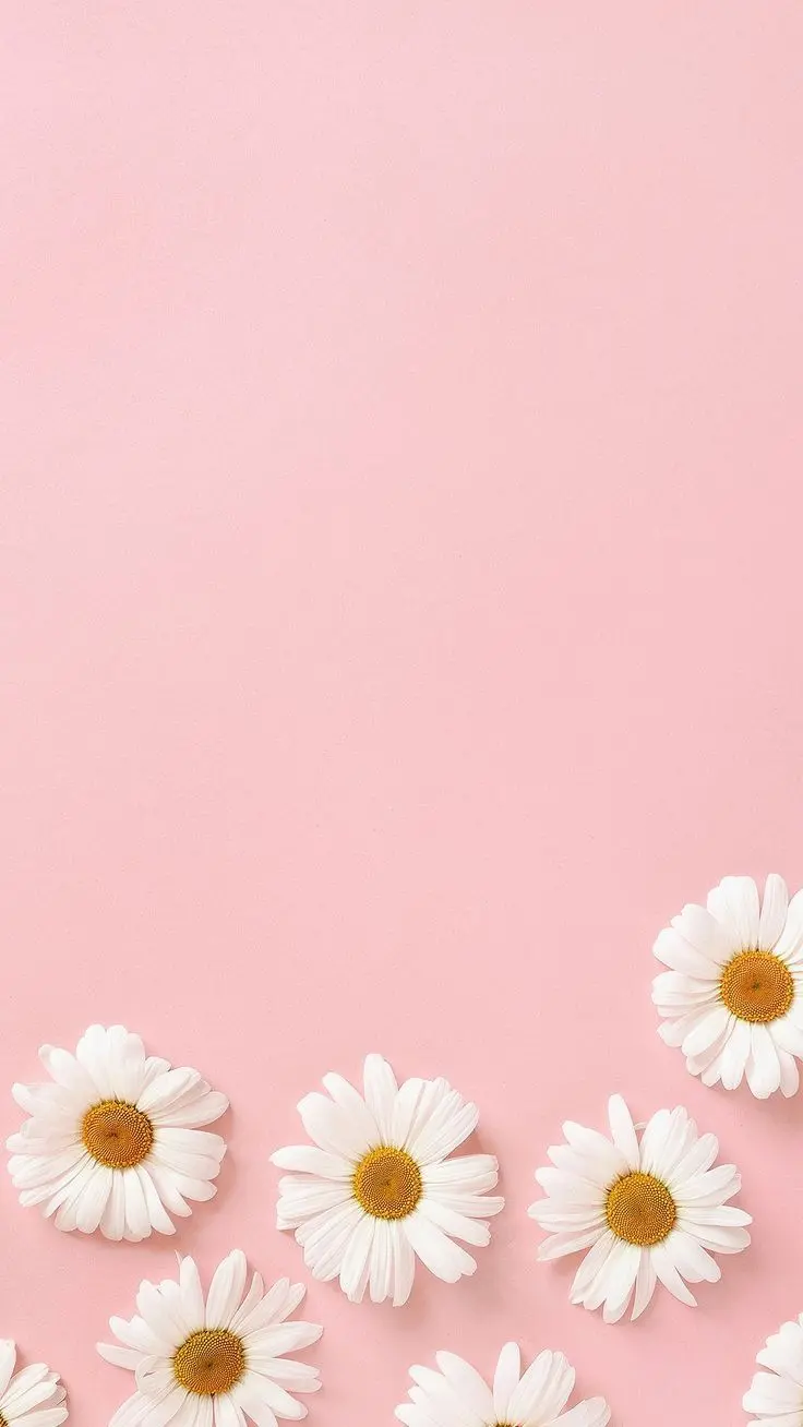 Download Background for Writing Pink Spring Text