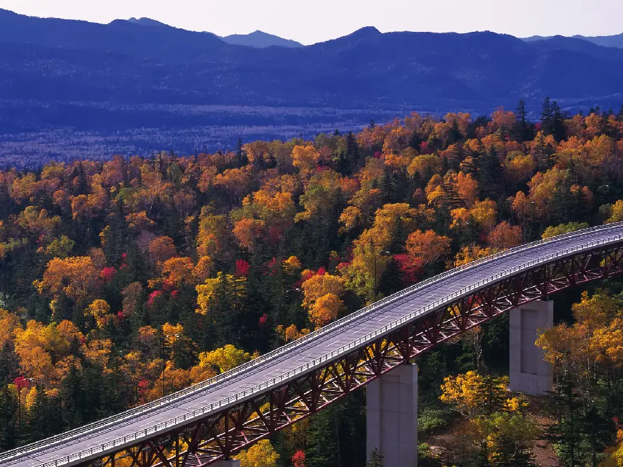 Road Background