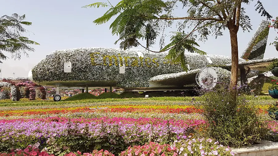Flower Park in Dubai Photo 6K