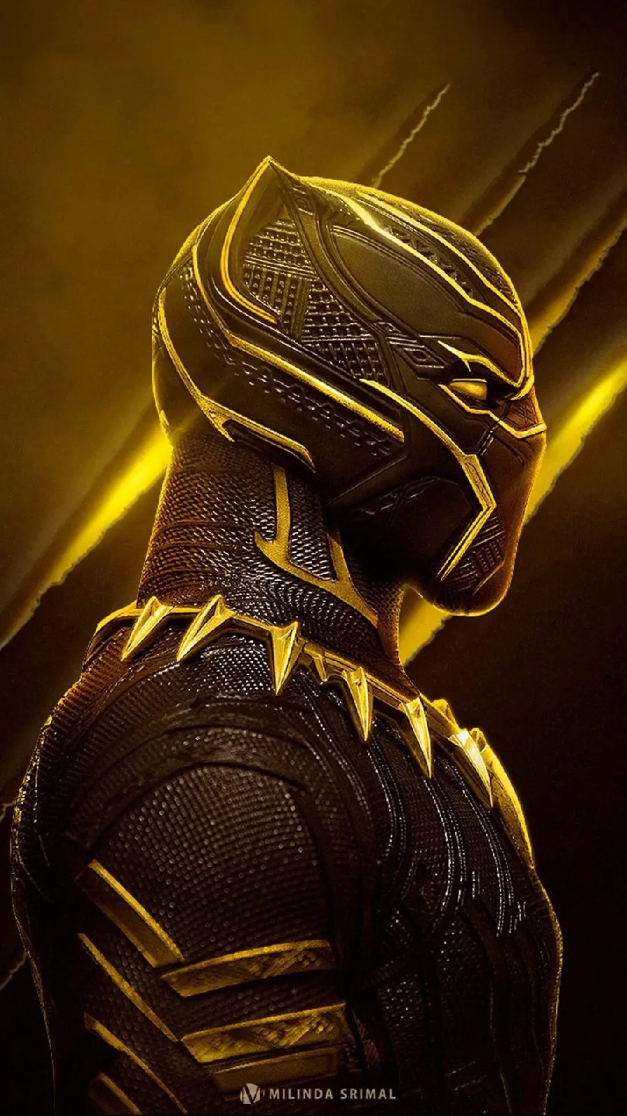 Black Panther King