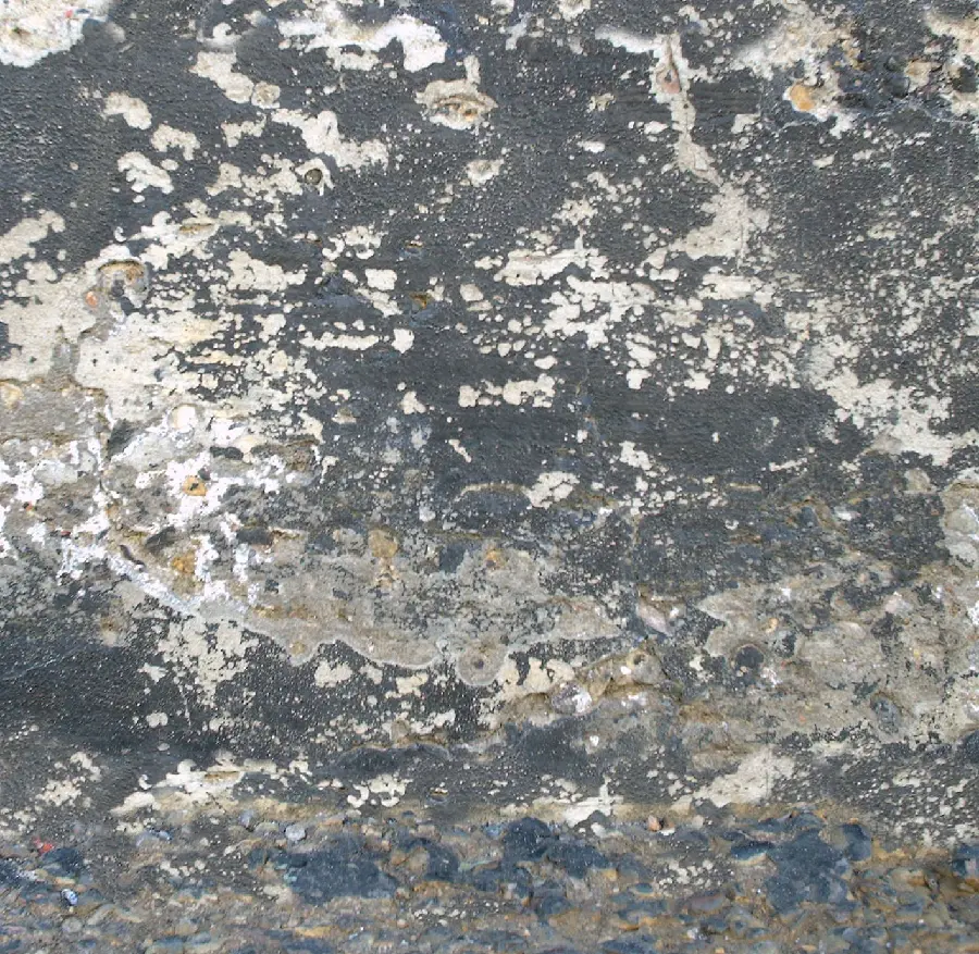 Free Cement Concrete Texture Download for Architecture