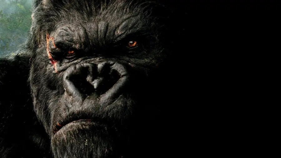 Free Download Angry and Scary Gorilla Picture
