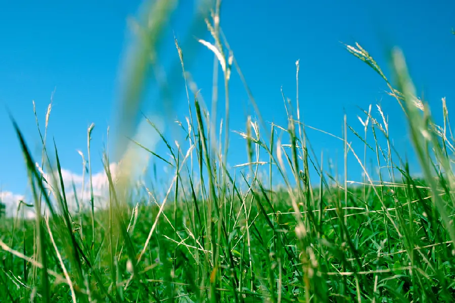 Nature photo for story